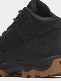 Ботинки Timberland Mt. Maddsen Mid Lace Hiker модель TB0A6B9TW02 Фото