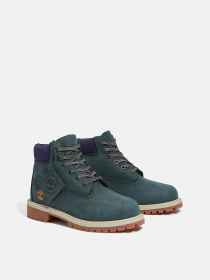 Ботинки Timberland TIMBERLAND PREMIUM WATERPROOF модель TB0A6BETEO6 Фото