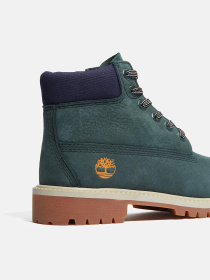 Ботинки Timberland TIMBERLAND PREMIUM WATERPROOF модель TB0A6BETEO6 Фото