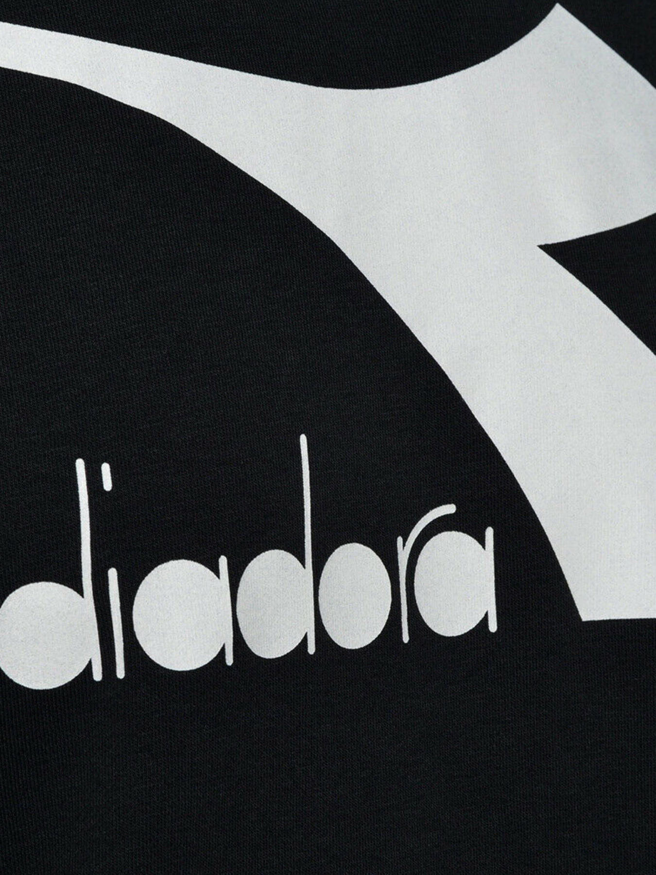 Худи DIADORA CHROMIA модель 102.176451.80013 Фото