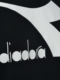 Худи DIADORA CHROMIA модель 102.176451.80013 Фото