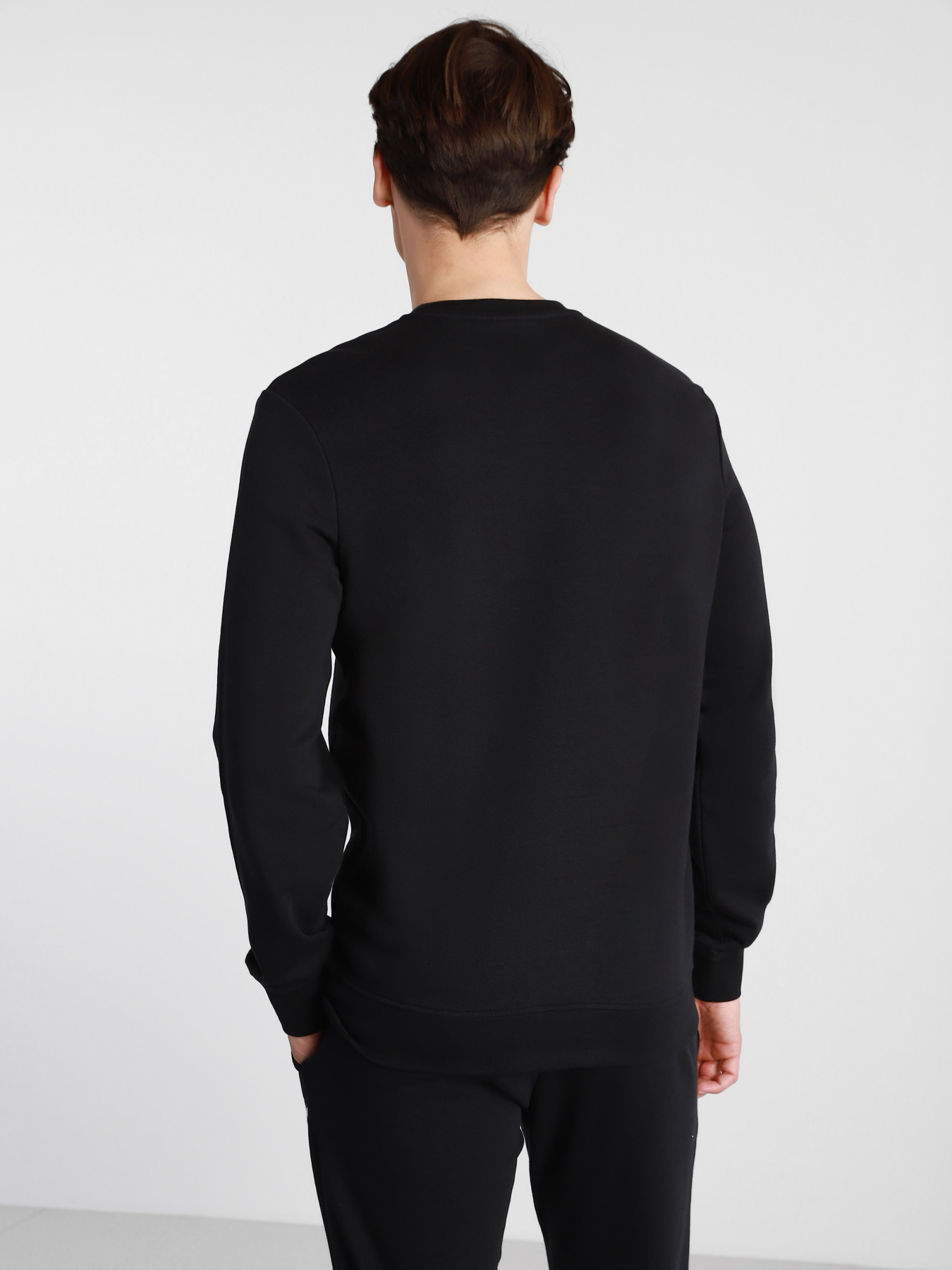 Свитшот DIADORA CREW LOGO CHROMIA модель 102.176453.80013 Фото