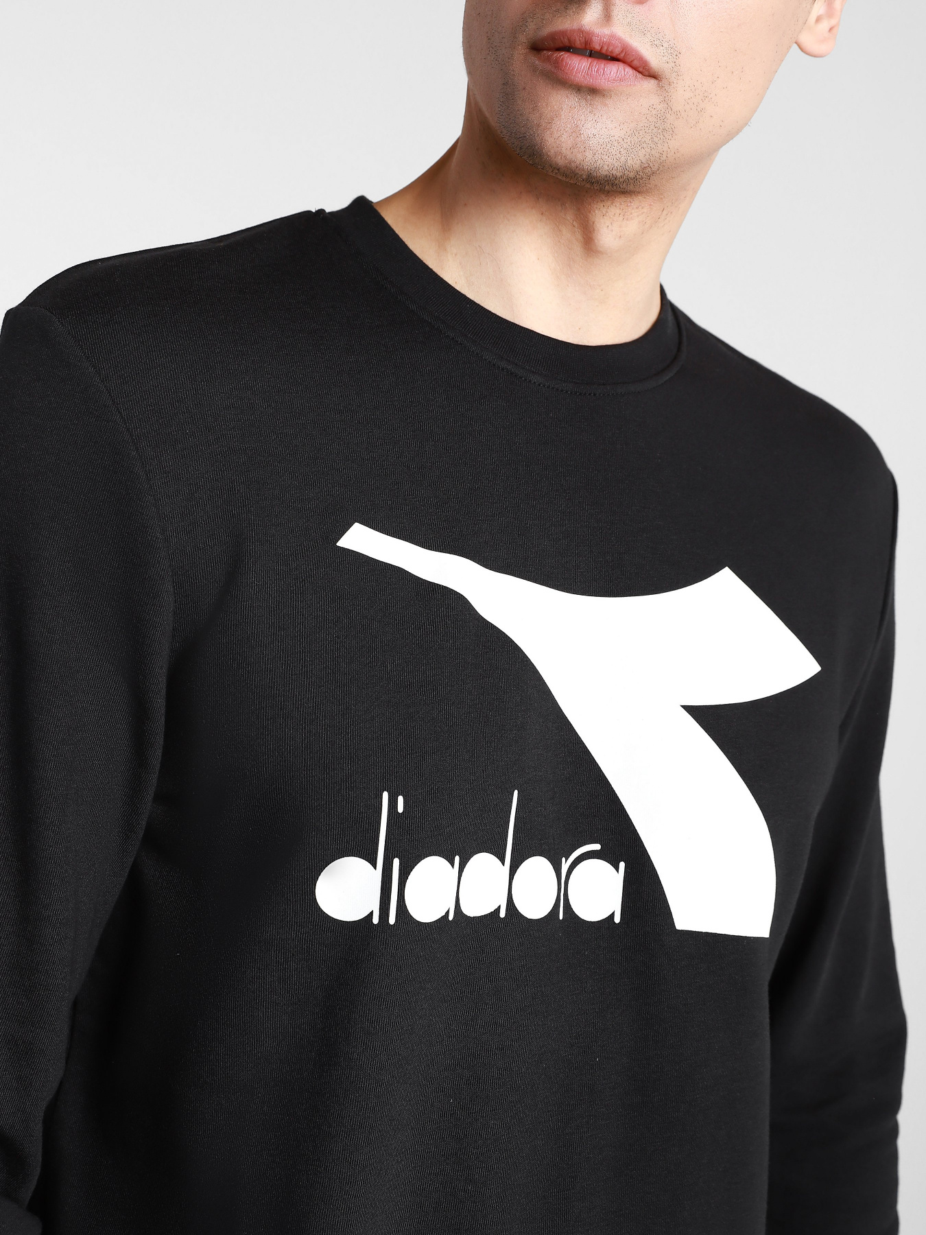 Свитшот DIADORA CREW LOGO CHROMIA модель 102.176453.80013 Фото