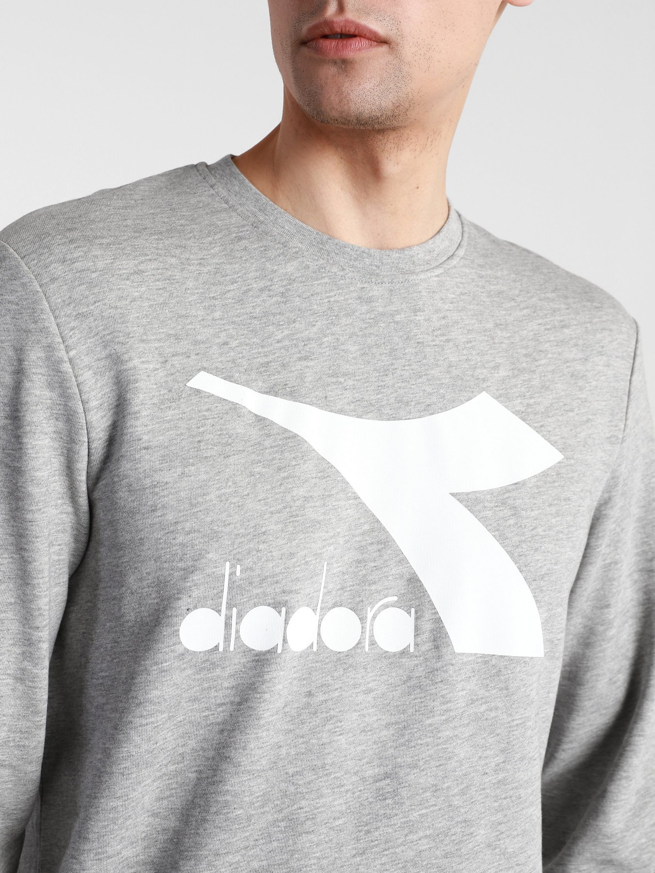 Свитшот DIADORA CREW LOGO CHROMIA модель 102.176453.C5493 Фото