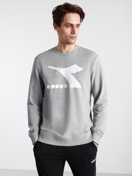 Світшот DIADORA CREW LOGO CHROMIA модель 102.176453.C5493 Фото