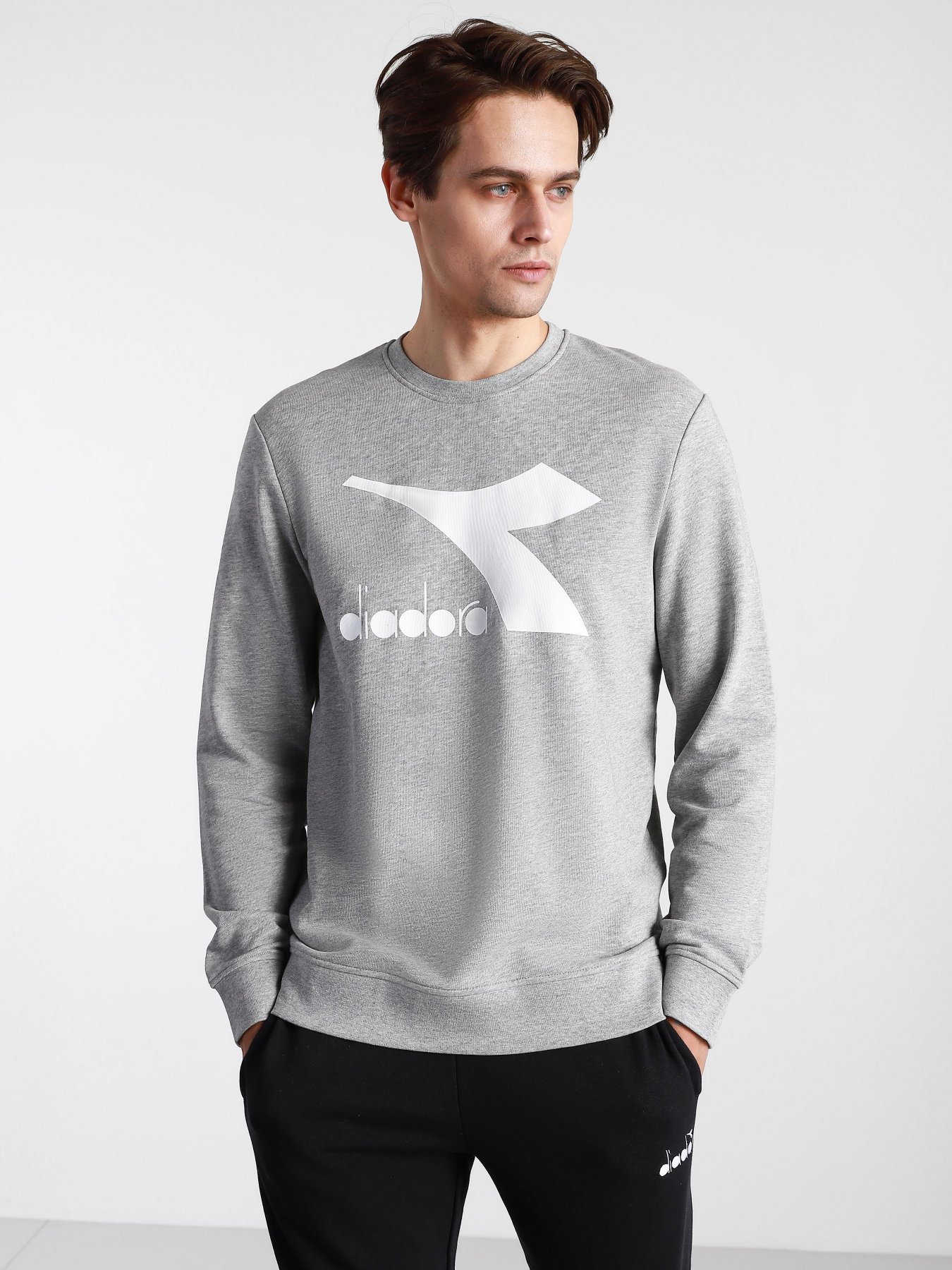 Свитшот DIADORA CREW LOGO CHROMIA модель 102.176453.C5493 Фото