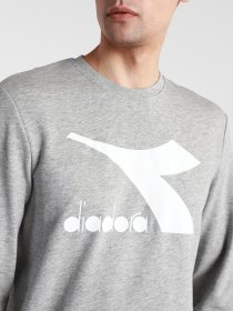 Свитшот DIADORA CREW LOGO CHROMIA модель 102.176453.C5493 Фото