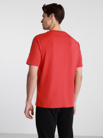 Футболка спортивная DIADORA OFFSIDE '95 модель 502.176429.45030 Фото