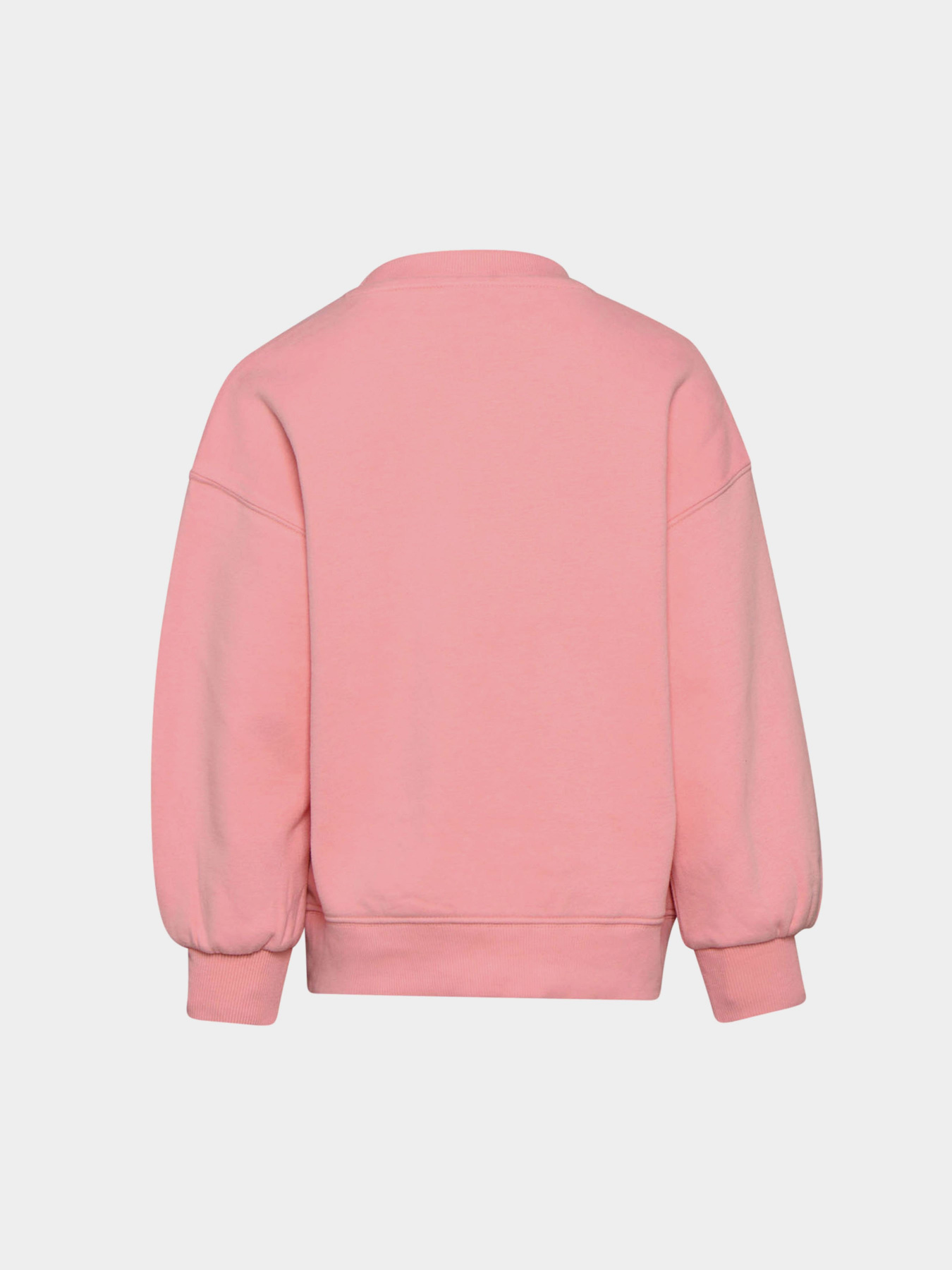 Світшот DIADORA Модель 102.176502.50120 Фото