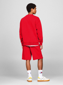 Свитшот Tommy Jeans модель DM0DM19219-XNL Фото