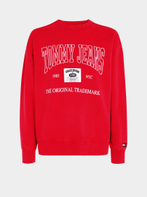 Світшот Tommy Jeans модель DM0DM19219-XNL Фото