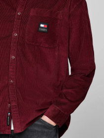 Рубашка повседневная Tommy Jeans модель DM0DM19660-VLP Фото