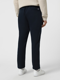 Повсякденні штани Tommy Jeans модель DM0DM20283-C1G Фото