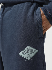 Шорты Tommy Jeans модель DM0DM20936-C1G Фото