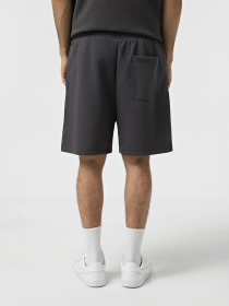 Повседневные шорты Tommy Jeans модель DM0DM21370-PT2 Фото