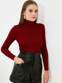 Гольф Trendyol модель TWOAW21KZ1279/Bordo Фото