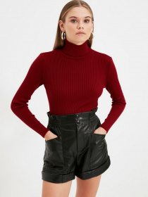 Водолазка Trendyol модель TWOAW21KZ1279/Bordo Фото