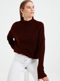 Джемпер Trendyol модель TWOAW22KZ0260/Bordo Фото