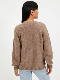 Джемпер Trendyol модель TWOAW22KZ0275/Vizon Джемпер Trendyol модель TWOAW22KZ0275/Vizon Фото