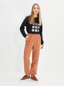 Штаны спортивные Trendyol модель TCTAW22EI0007/Kahverengi Фото