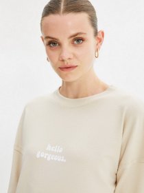 Свитшот Trendyol модель TCTSS21SW0339/Bej Фото