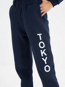 Штаны спортивные Trendyol модель TWOAW22EA0181/Lacivert Фото