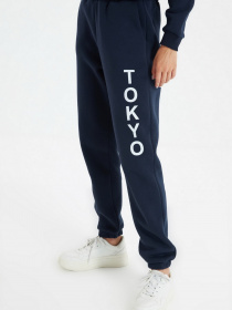 Штаны спортивные Trendyol модель TWOAW22EA0181/Lacivert Фото