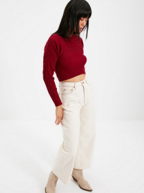 Джемпер Trendyol модель TWOAW22KZ0773/Bordo Фото