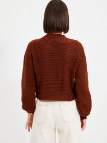 Свитер Trendyol модель TWOAW22KZ0932/Taba Фото