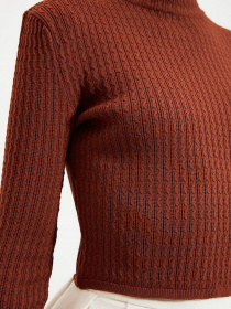 Гольф Trendyol модель TWOAW22KZ1128/Kahverengi Фото