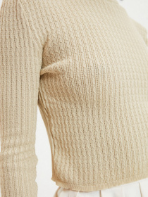 Гольф Trendyol модель TWOAW22KZ1128/Tas Фото