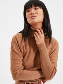 Водолазка Trendyol модель TWOAW22KZ1358/Camel Фото