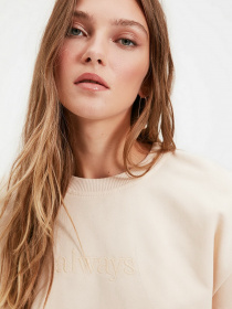 Світшот Trendyol модель TWOAW20SW0145/Bej Фото