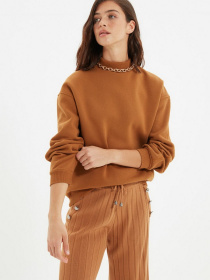 Світшот Trendyol модель TWOAW20SW0584/Acik Kahverengi Світшот Trendyol модель TWOAW20SW0584/Acik Kahverengi Фото