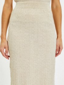 Спідниця міді Trendyol модель TWOAW22ET0296/Tas Спідниця міді Trendyol модель TWOAW22ET0296/Tas Фото