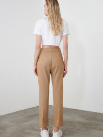 Брюки повседневные Trendyol модель TWOSS20PL0008/Camel Фото