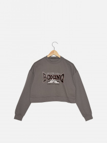 Свитшот Trendyol модель TWOAW22SW1080/Gri Фото