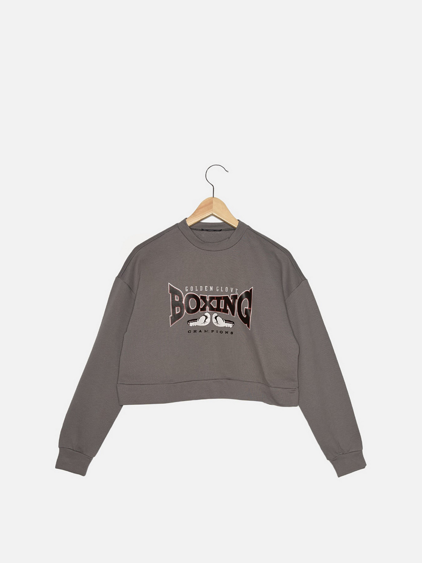 Свитшот Trendyol модель TWOAW22SW1080/Gri Свитшот Trendyol модель TWOAW22SW1080/Gri Фото