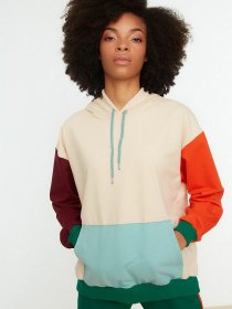 Худи Trendyol модель TWOSS22SW0069/Cok Renkli Фото