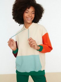 Худи Trendyol модель TWOSS22SW0069/Cok Renkli Фото