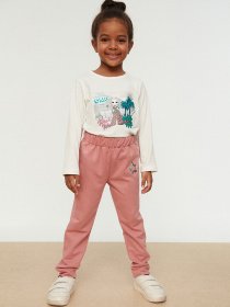 Штаны спортивные Trendyol модель TKDSS22EA0010/Pudra Фото