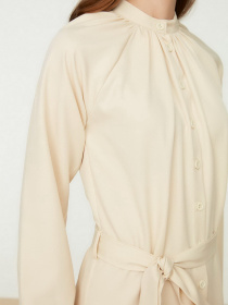 Сукня максі Trendyol модель TCTSS22EB0013/Camel Фото