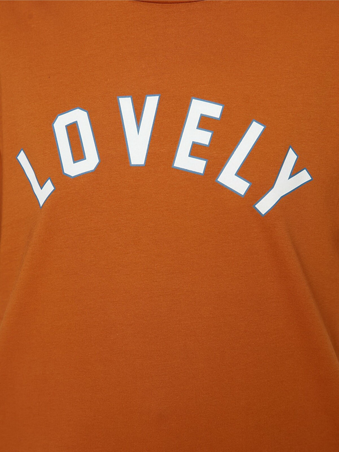 Футболки и поло Trendyol модель TWOSS22TS0957/Kahverengi Фото