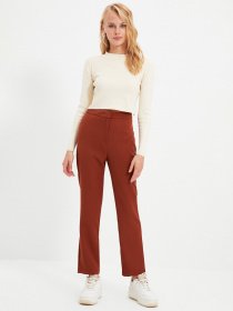 Штани повсякденні Trendyol модель TWOSS20PL0075/Kahverengi Фото