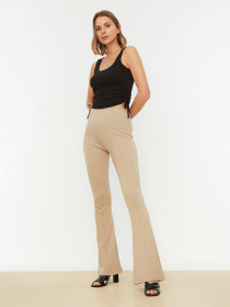 Повседневные штаны Trendyol модель TWOSS20PL0342/Vizon Фото