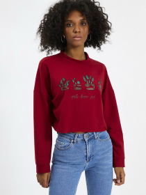 Свитшот Trendyol модель TWOAW22SW2302/Bordo Фото