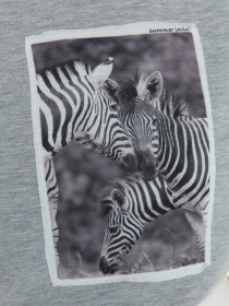 Футболка Trendyol модель TWOSS22TS1813/Gri Футболка Trendyol модель TWOSS22TS1813/Gri Фото