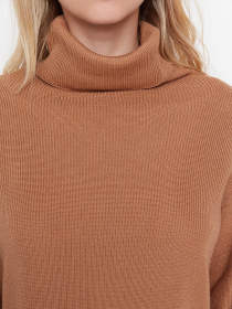 Сукня міні Trendyol модель TWOAW23EL00026/Kahverengi Фото