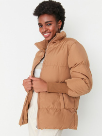 Зимняя куртка Trendyol модель TWOAW22MO0002/Vizon Фото