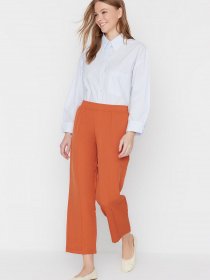 Штани класичні Trendyol модель TCTSS21PL0570/Acik Kahverengi Фото